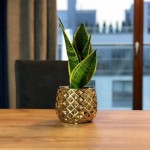 Keramični lonec Moon 02.631.16